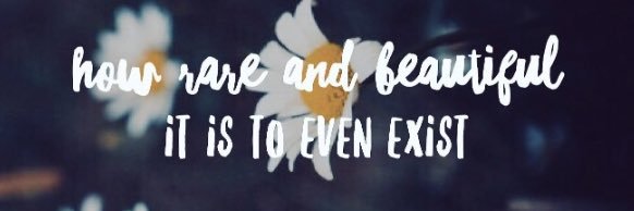 holly__bock's profile banner image