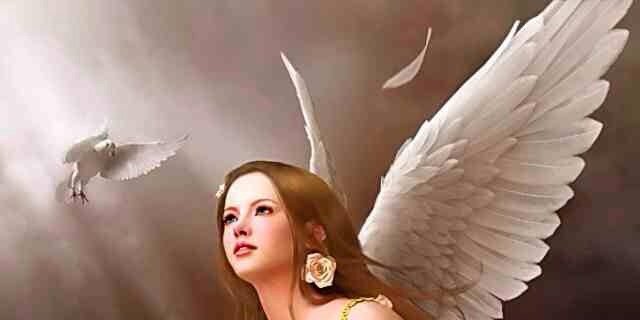 Sydney Dunlap banner