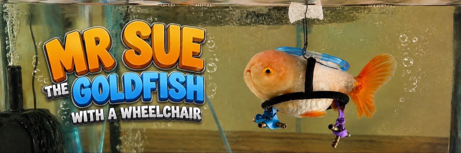 AWheelchaiFish's profile banner image
