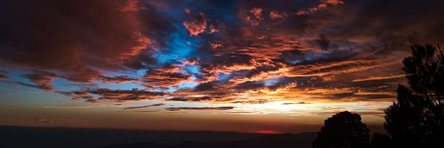 GuzFloress's profile banner image