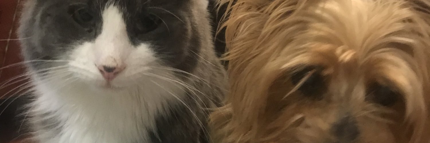 stephkruse2's profile banner image