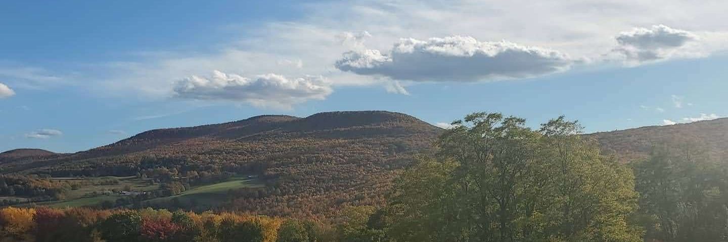 Gratitude Attitude banner