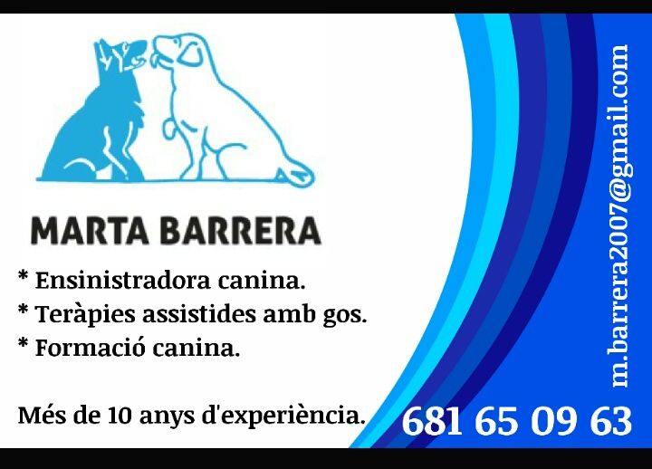 mbarrera2007's profile banner image