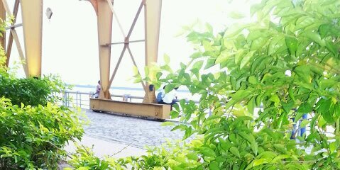 sitropico's profile banner image