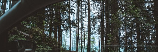 whywouldthatbe Profile Banner