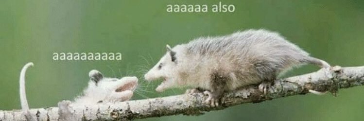 strwbrryonafrog's profile banner image