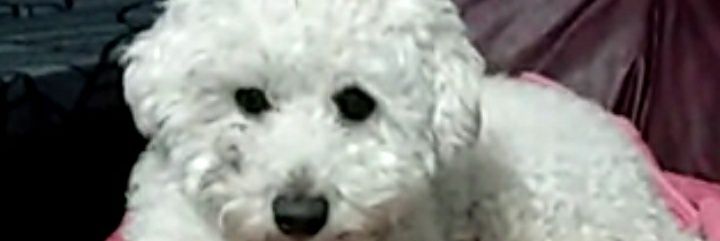 ugaz_s's profile banner image