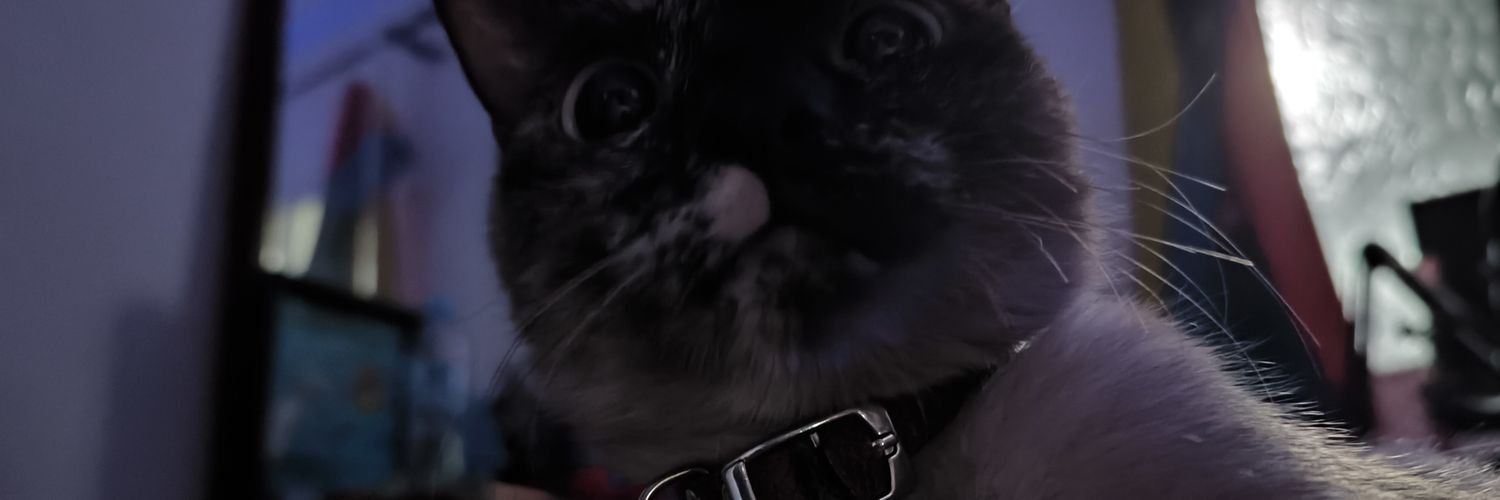 dxnitooh's profile banner image