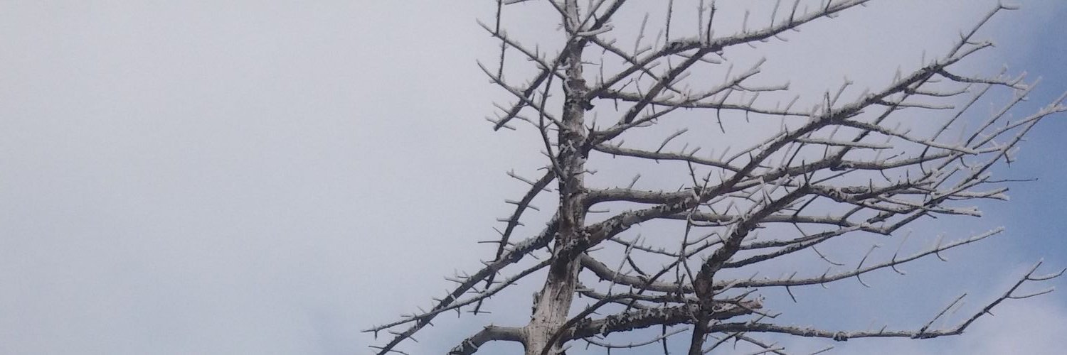 tdgdgs's profile banner image