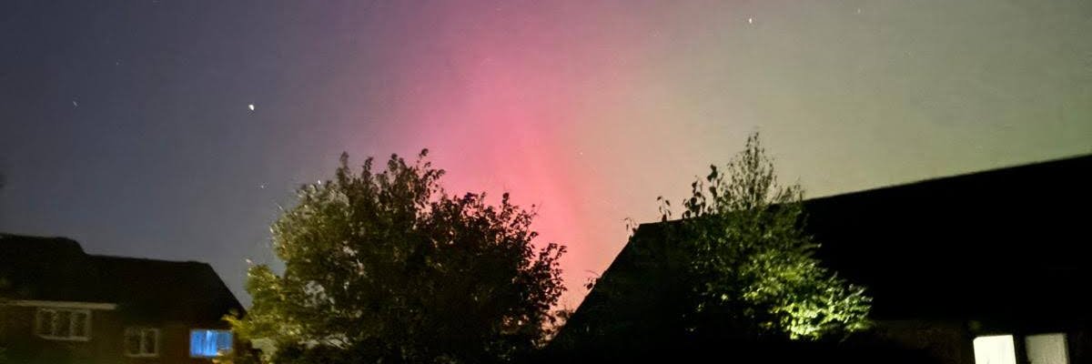 wizbot's profile banner image