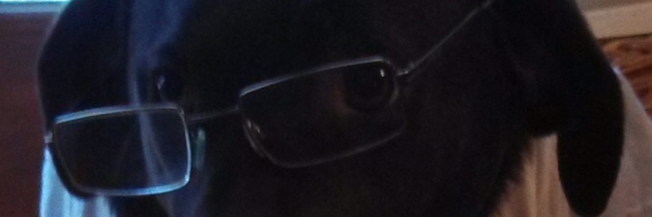 AlecWycoff32's profile banner image