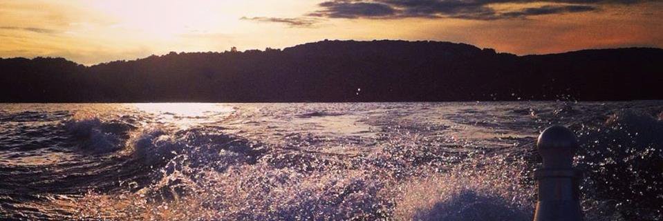 rosegrabow's profile banner image