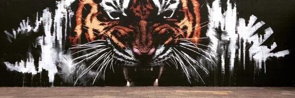 Manuel_Medrano's profile banner image