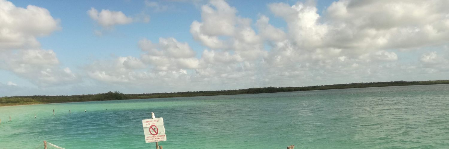 jelipunk28's profile banner image