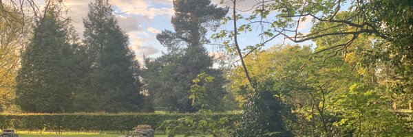 RebeccaOBtcd Profile Banner