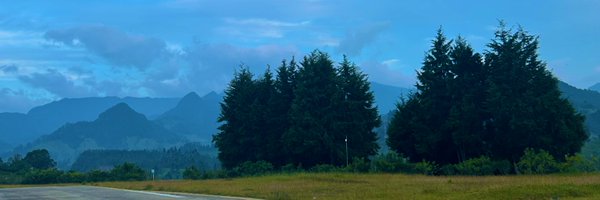 AnaLauraRR Profile Banner