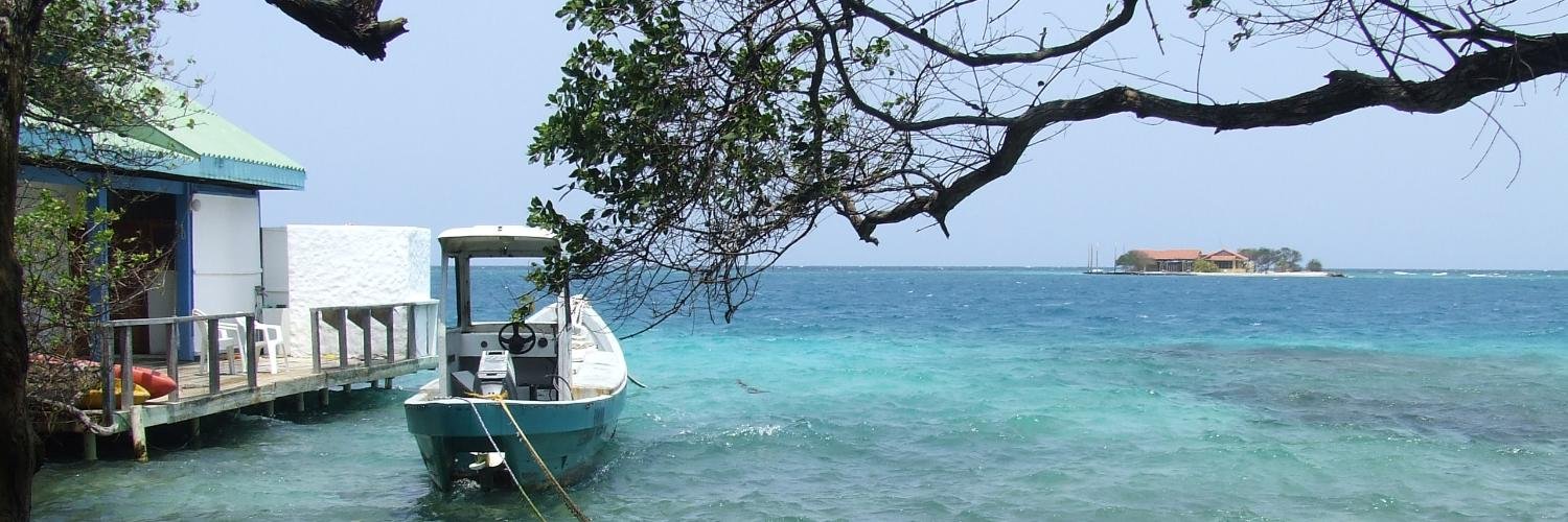 Jorge Luis Viale banner