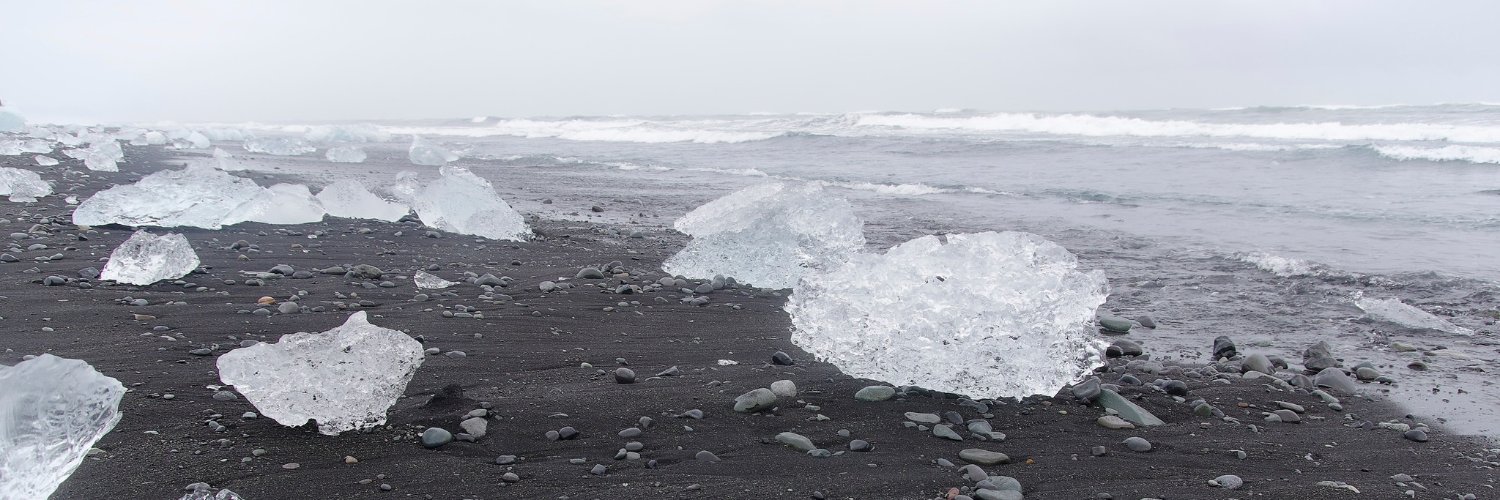 Bartłomiej Pigulski banner