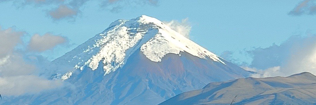 InesAlexmarquez's profile banner image