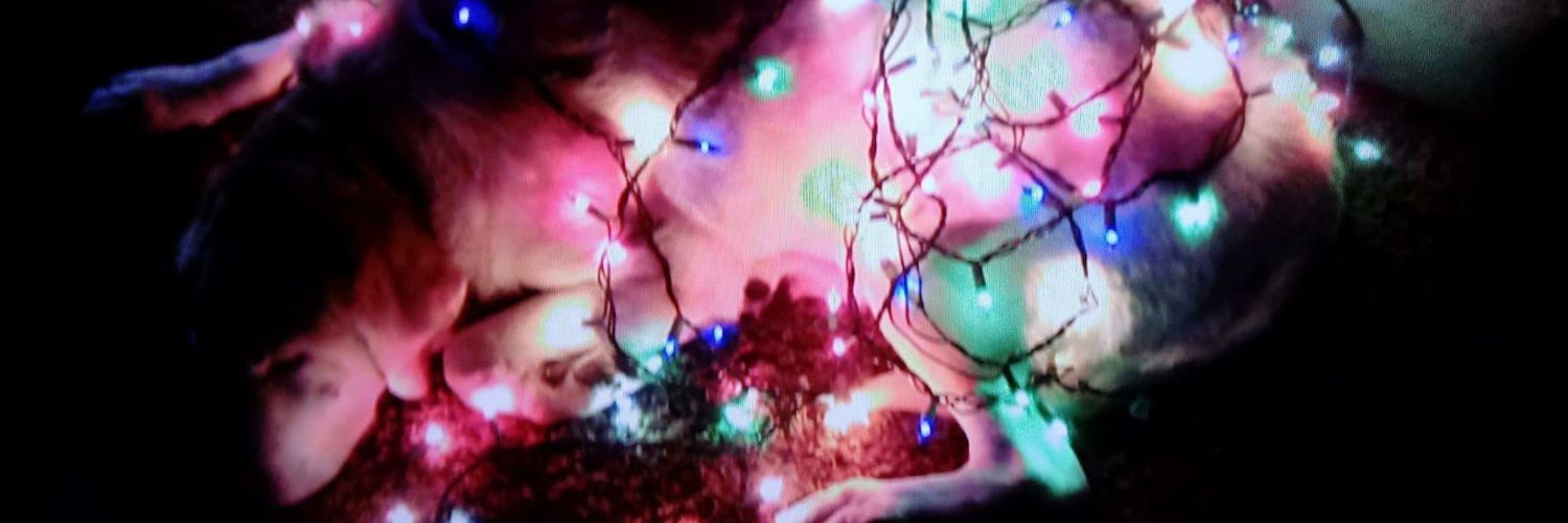 GarrettWISpring's profile banner image
