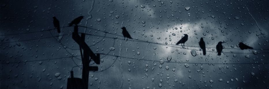 Raven Rain banner