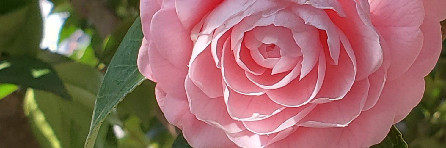 childlabo's profile banner image