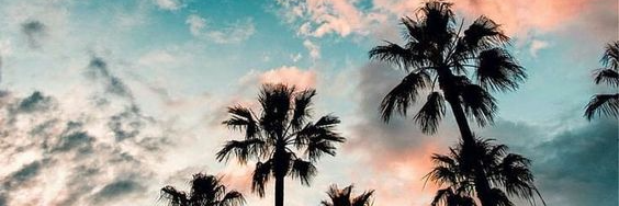 Alpa_Ra's profile banner image