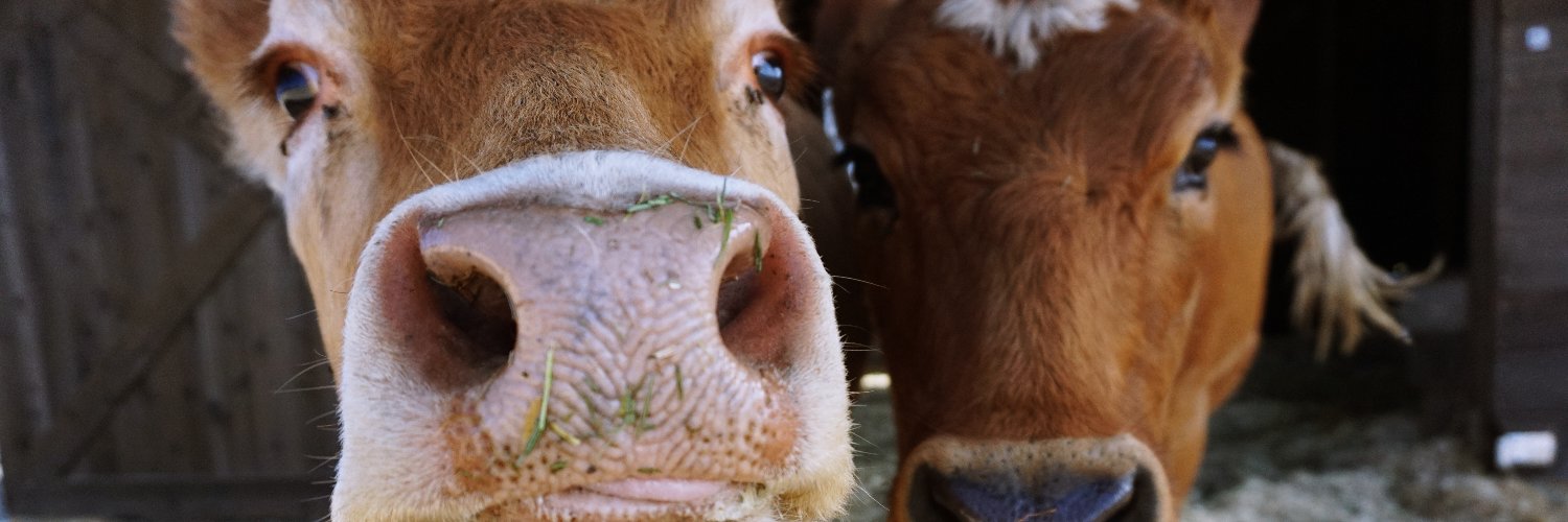 Advancing Law for Animals banner