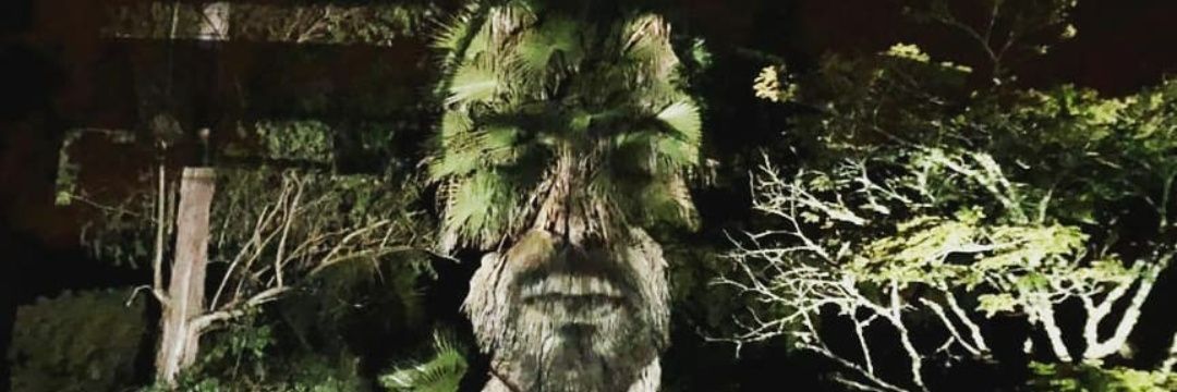 João Pedro Caleiro banner