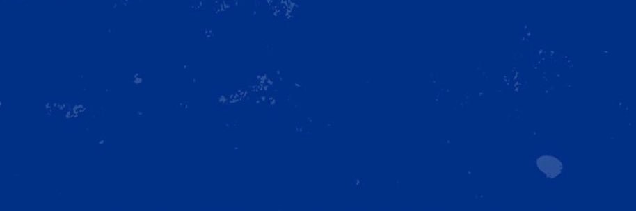 Kylie Jimenez banner