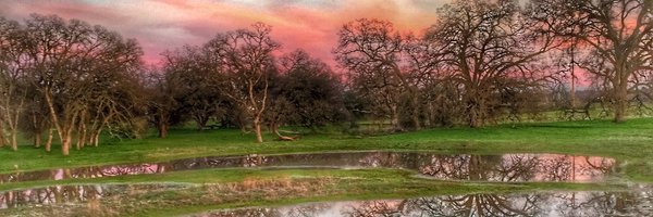 debmcjimMFT Profile Banner