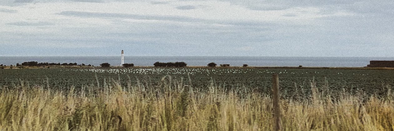 LandryStraw's profile banner image