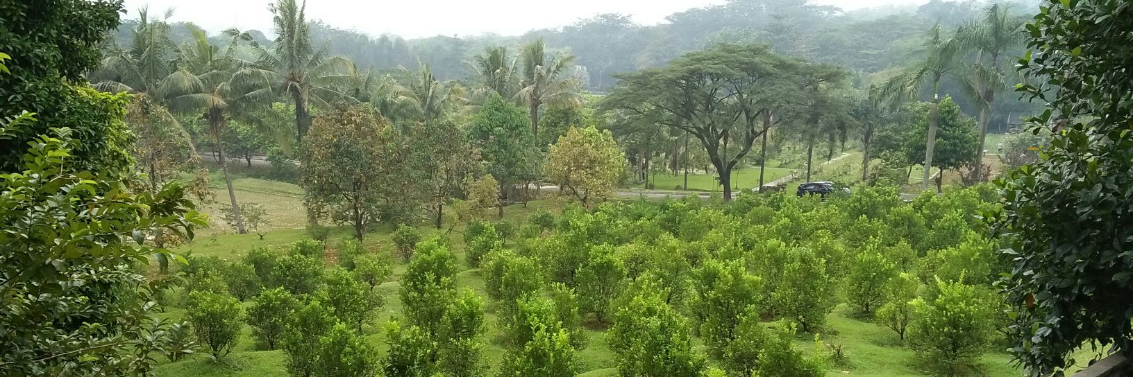 pipithapsari's profile banner image