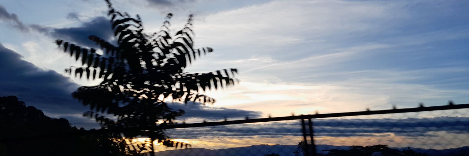 dreaaamota's profile banner image