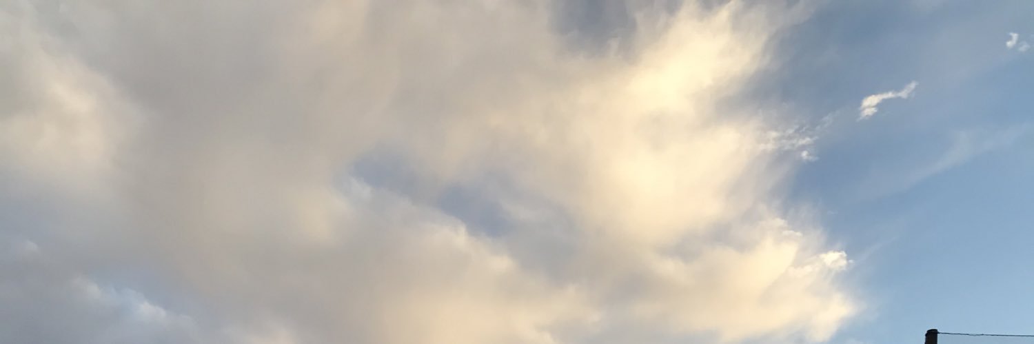 sarbelley's profile banner image