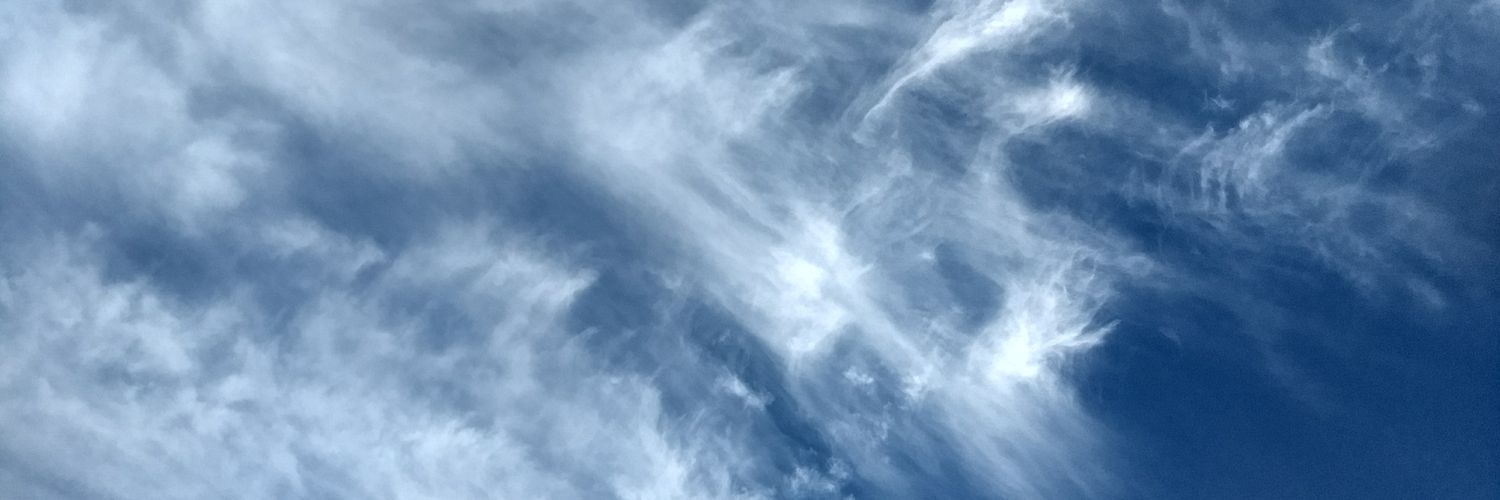 srinig's profile banner image