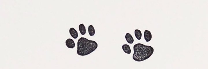 aleerl's profile banner image