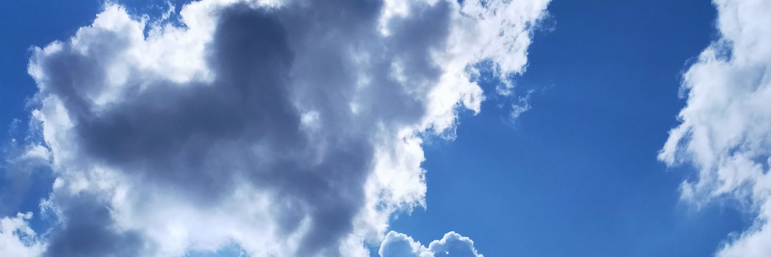 a_dreamer91's profile banner image