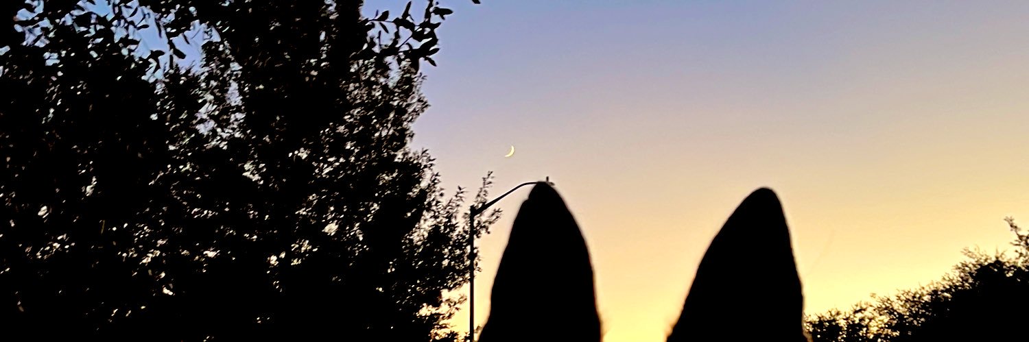 _queennleee's profile banner image