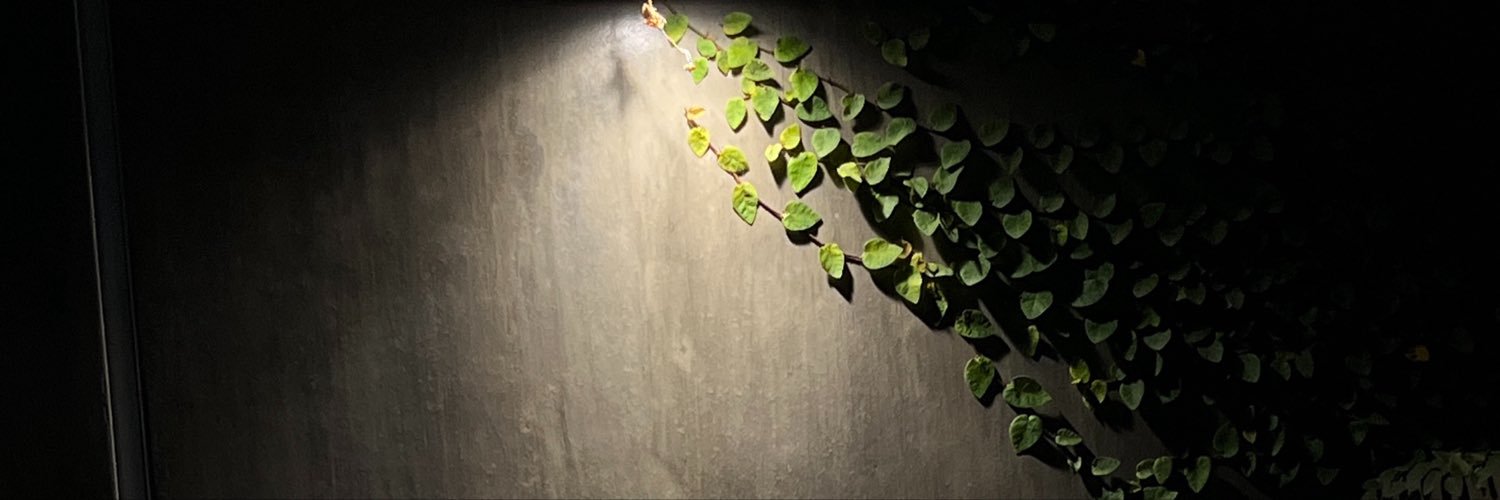 JeremasAlvarez9's profile banner image