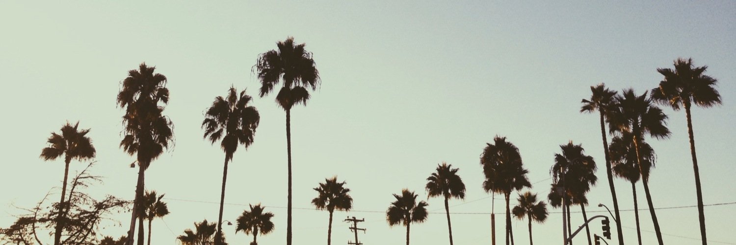 taliammarie's profile banner image
