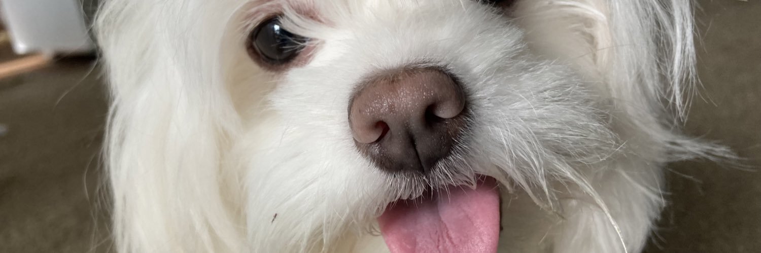 bri (🤍) banner