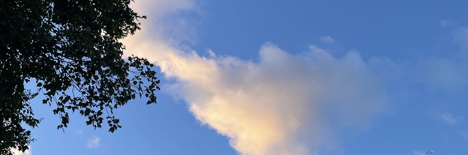 Jennifer Lynn banner