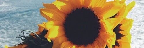 Mowhitt's profile banner image