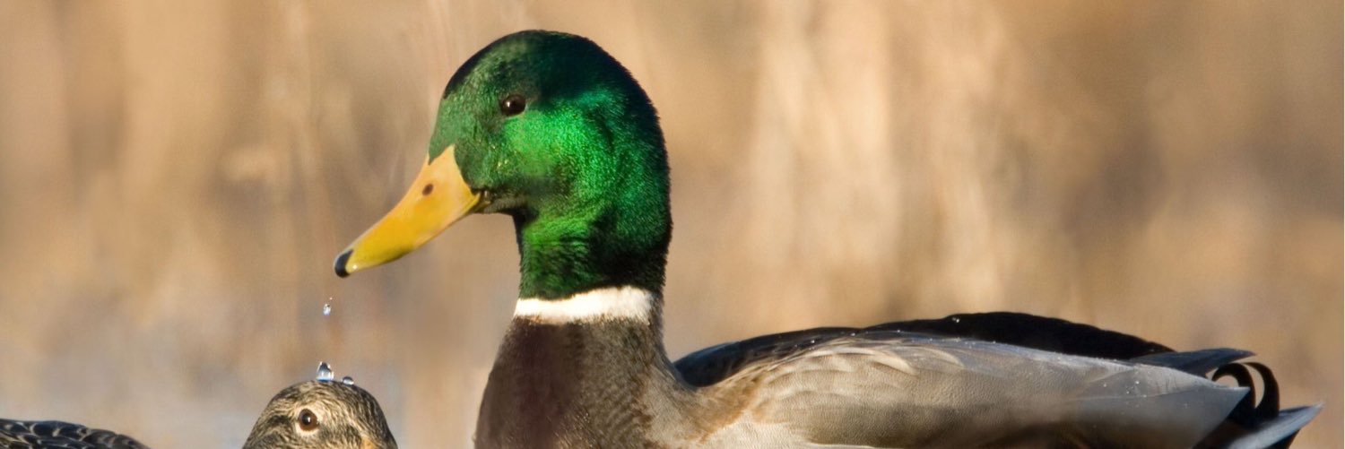bmitch3030's profile banner image