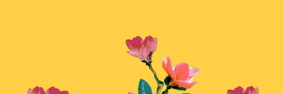maripau27's profile banner image