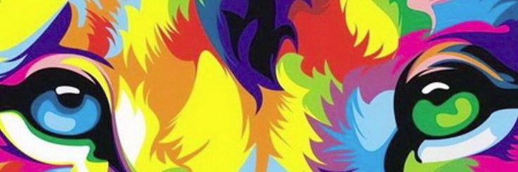 guali_'s profile banner image