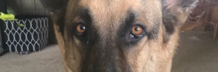 chloehll6's profile banner image