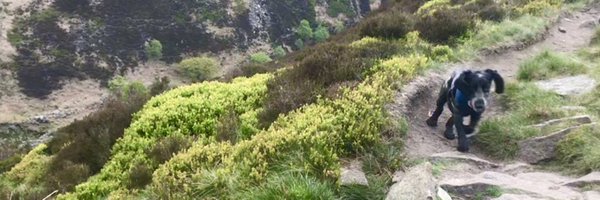 danhowarth Profile Banner