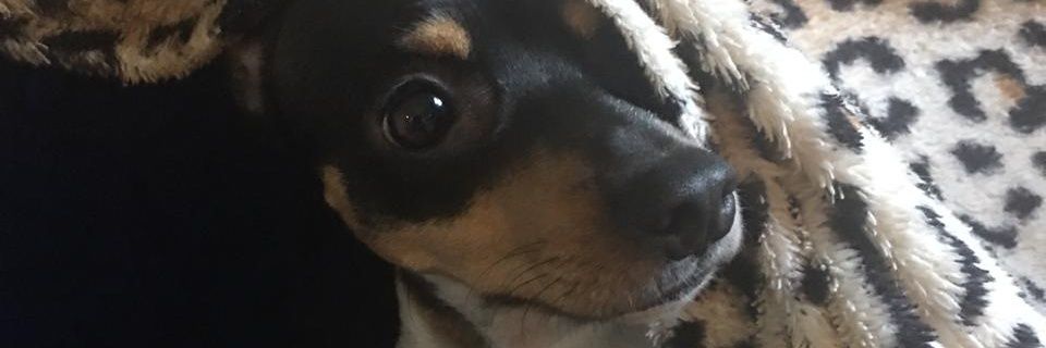 Jessy19a's profile banner image